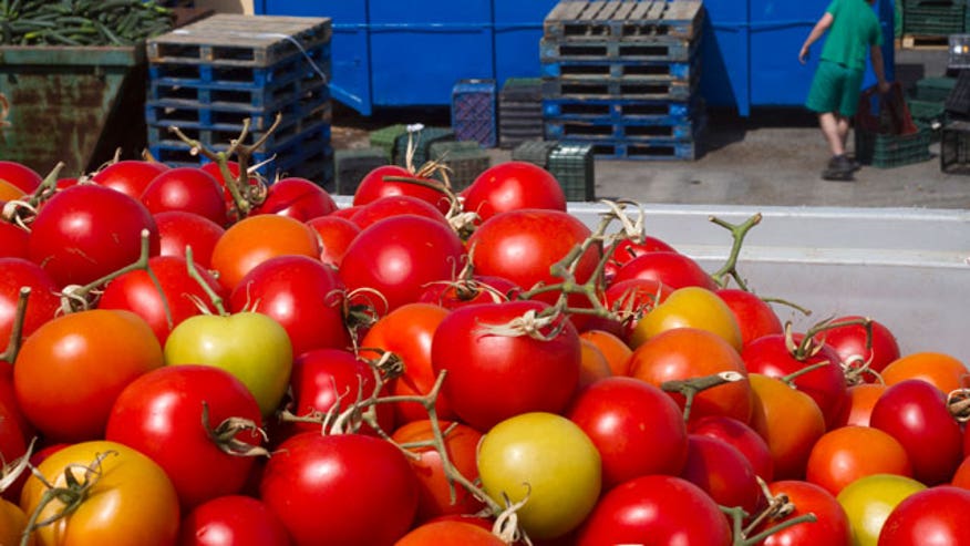 Tomatoes Europe