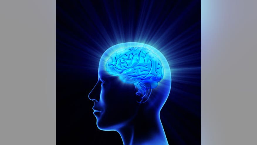 Brain 2
