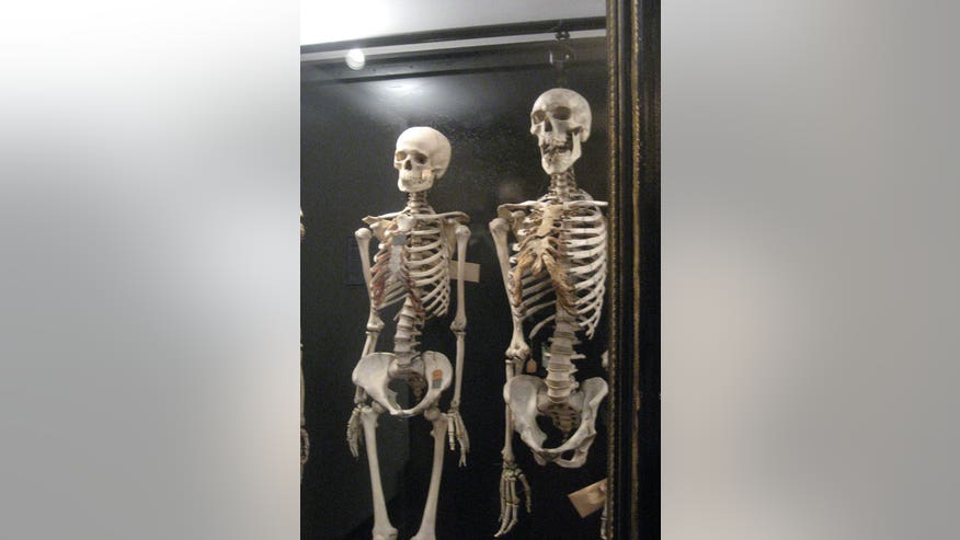 Skeletons