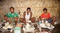 Kava, an herb from the Pacific islands whose roots yield relaxing compounds, has been sold in the U.S. for a long time. Compounds in kava relax tense muscles and work in the amygdala, the anxiety centers of the brain