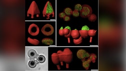 >Now, bacterial colonies sculpted into custom shapes by a 3D printer could be a key to understanding how some antibiotic-resistant infections develop.