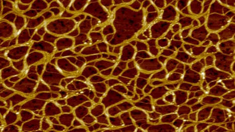 The innards of cells boast remarkable mechanical properties, and now researchers have constructed artificial gels that mimic those qualities