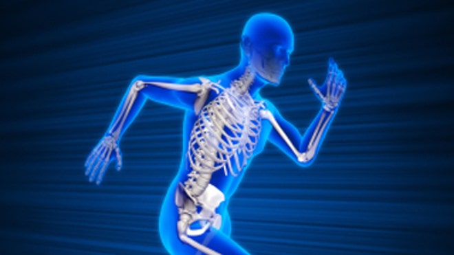 397_HumanBody.jpg