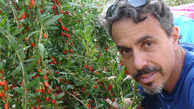 Medicine Hunter Goji Berry