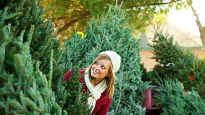ChristmasTree.JPG