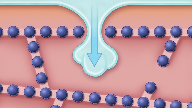 Cryopreservation ice.jpg