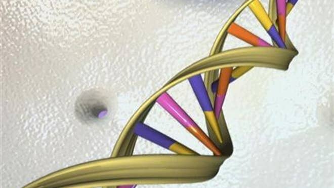 DNA strand.jpg