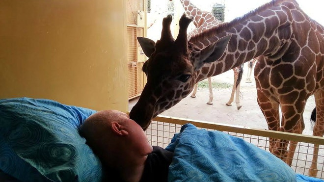 Giraffe and cancer patient.jpg