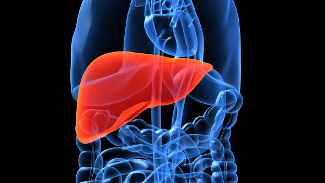 Liver istock.jpg