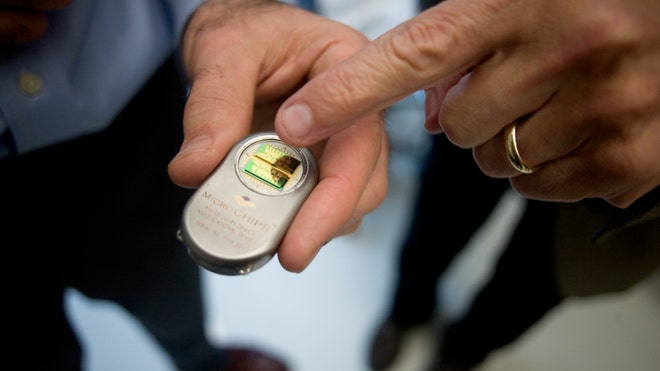 MicroCHIP.JPG