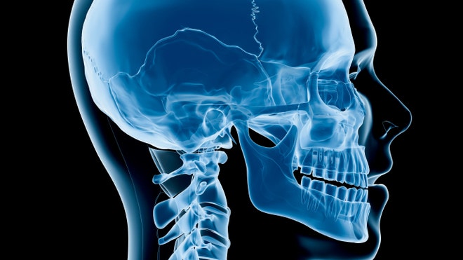 Spinal%20cord%20and%20skull%20istock.jpg