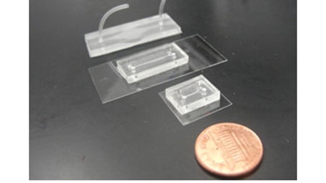 brain-chip.jpg