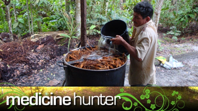 medicine hunter banner