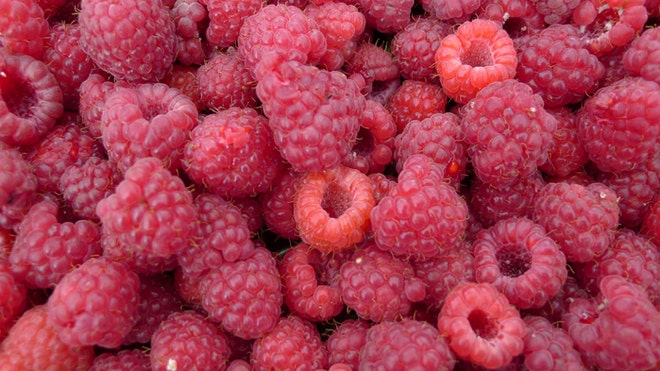 raspberry ketones diet free trial weight loss raspberry ketones diet free trial weight loss