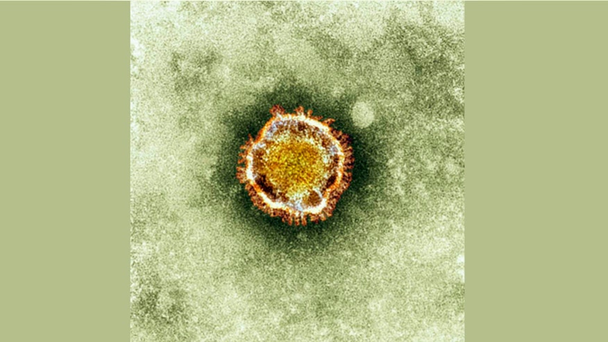 Coronavirus_REUTERS.jpg
