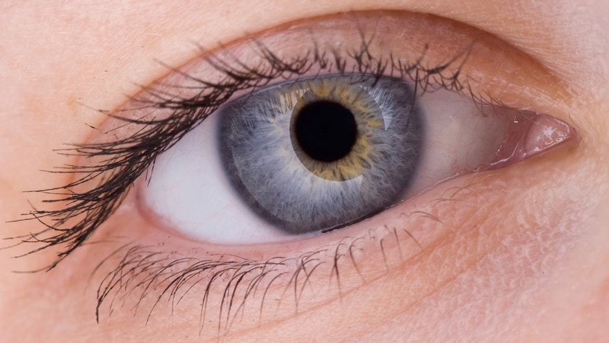 EYE.jpg