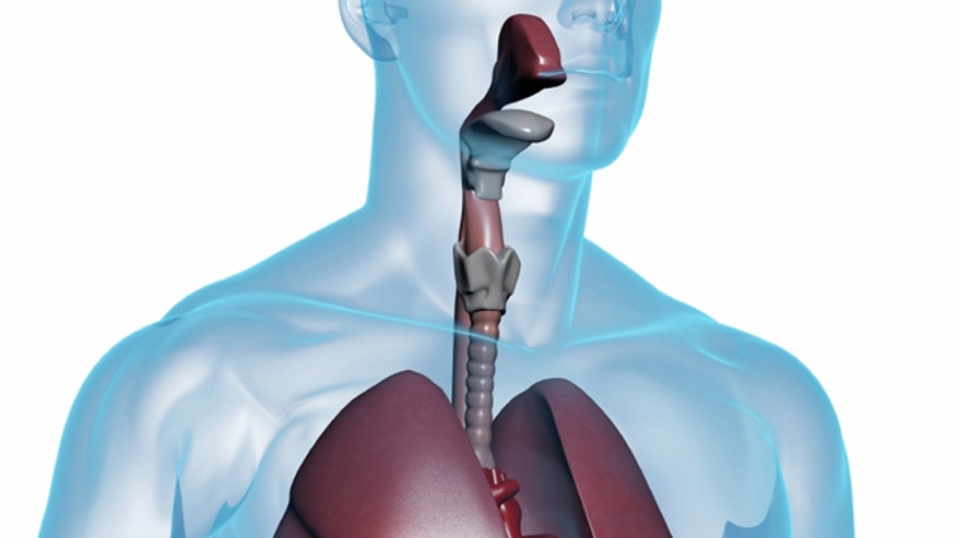 Endoscopy.jpg