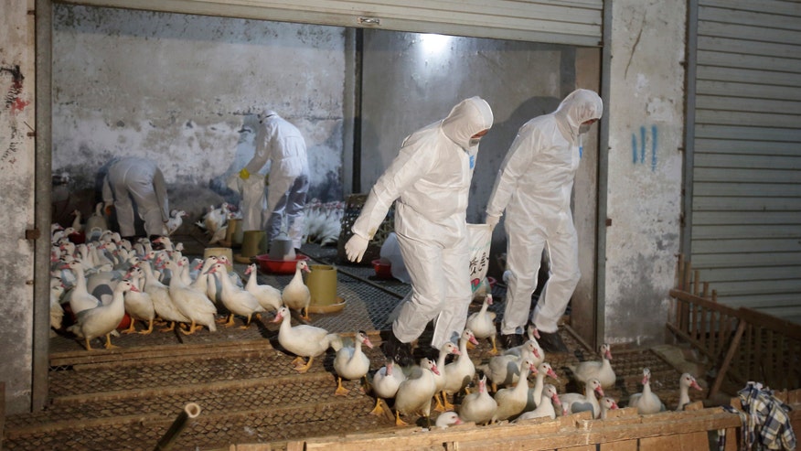 H7N9newinfections.jpg