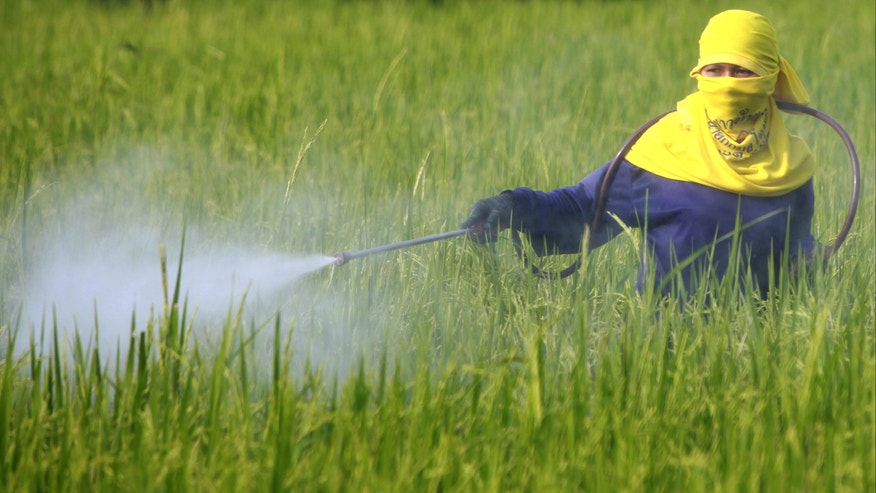 Pesticide_Reuters.jpg