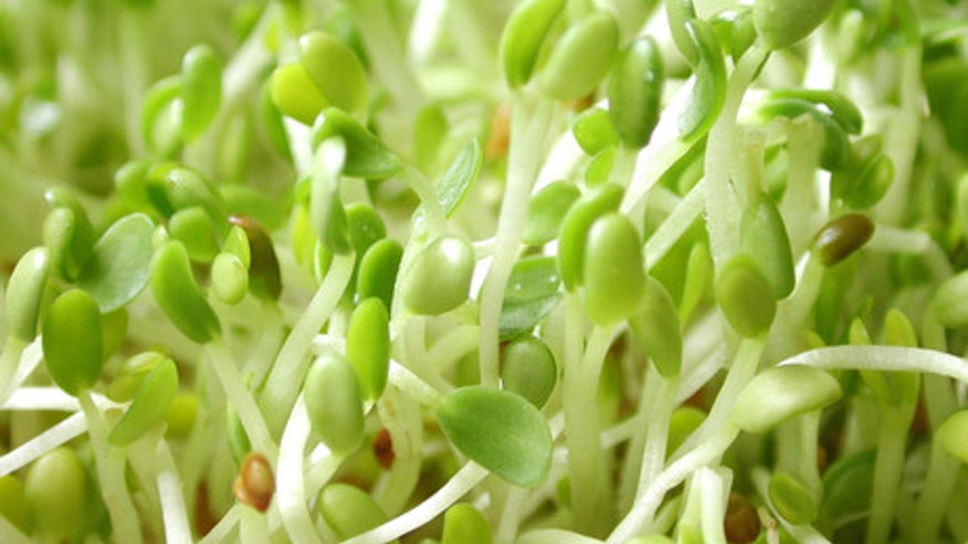 Sprouts