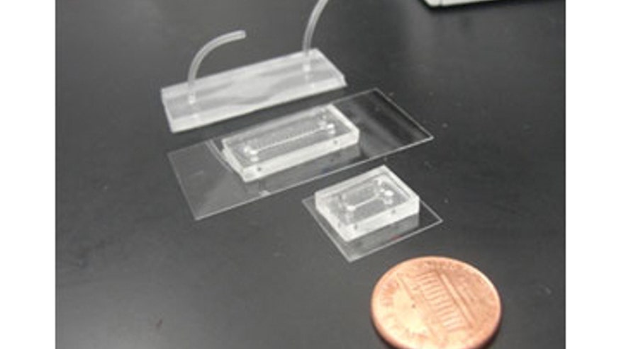 brain-chip.jpg