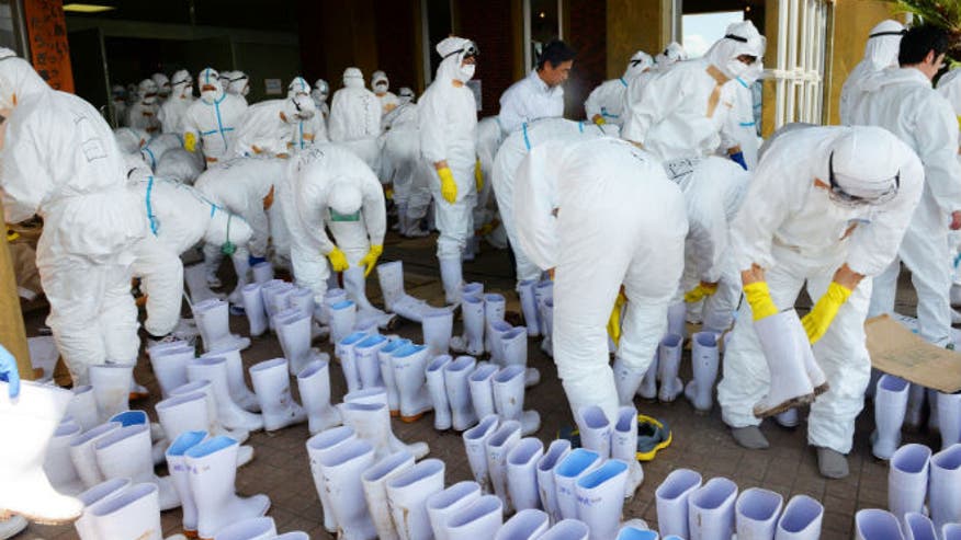 japan_bird_flu_april2014.jpg