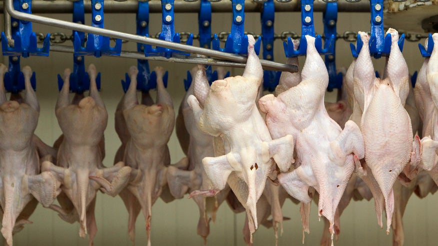 raw_chicken.jpg