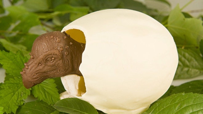 Pachycephalosaurus Chossil
