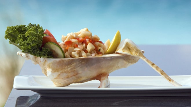 conch.jpg