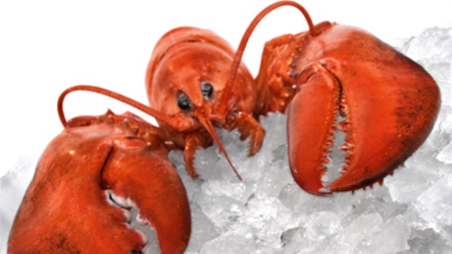 newlobster.jpg