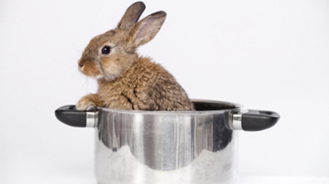 rabbitpot.jpg
