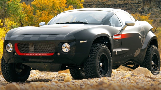 Rally Fighter