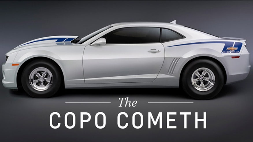 copo-2013.jpg