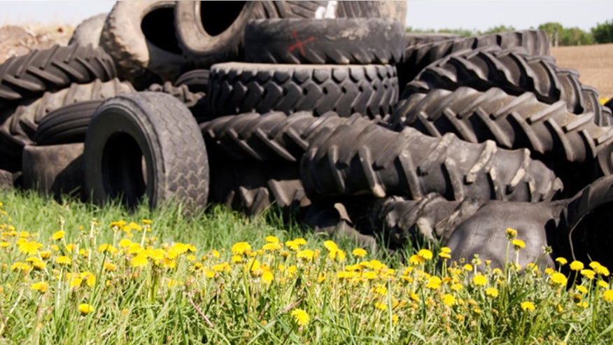dandy-tires-660.jpg