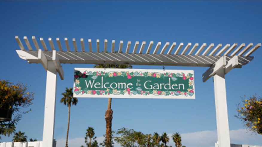 garden660.jpg