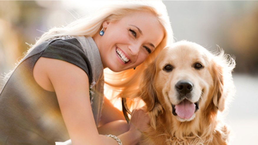 petproof660.jpg