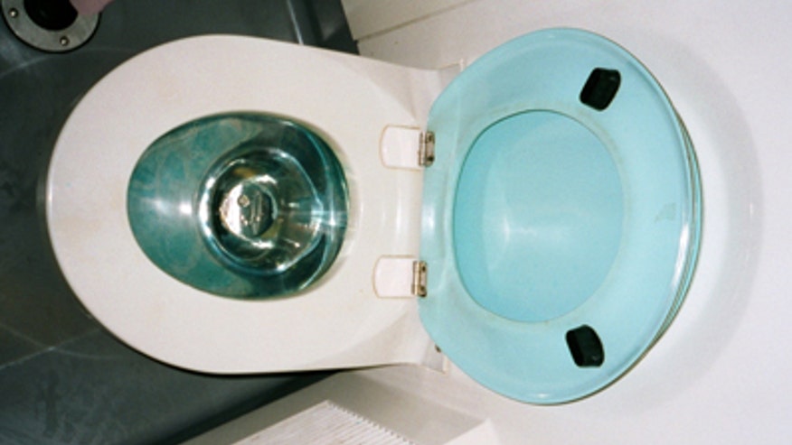 toilet.jpg