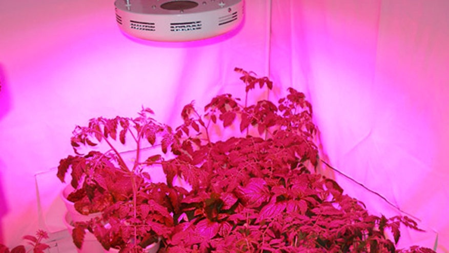 GrowUFO