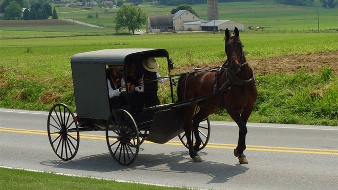 Amish_buggy.JPG