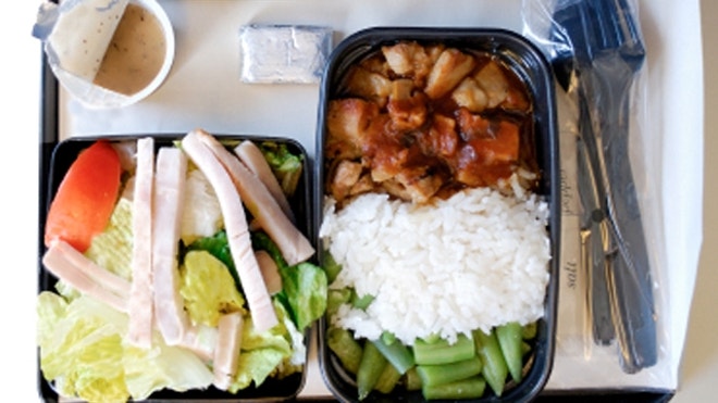 airlinefood.JPG