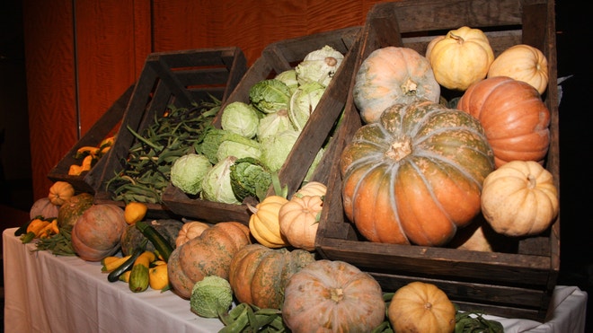 pumpkins.JPG