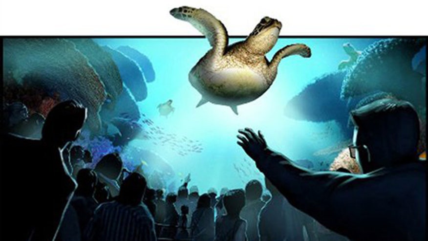 SeaWorld_Turtletrek640.jpg