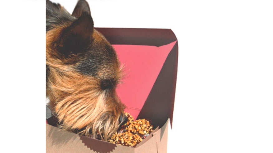 dog_treats.jpg