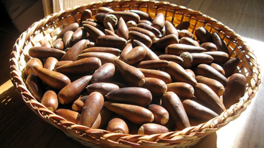 tdayforaging.jpg