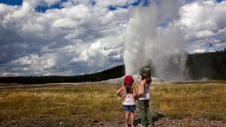 yellowstone_family_vaca.jpg