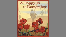 Every Memorial Day, when I run into the grocery store to pick up those last minute items for the three day weekend’s picnic, I’m met with members of the Veterans of Foreign Wars (VFW) selling their poppies.