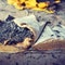 Churches destroyed in Muslim mob attack but Bible survives