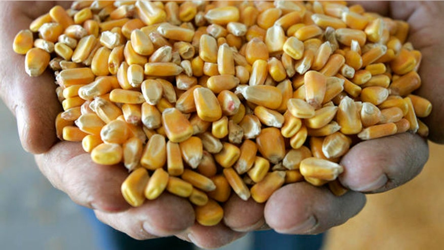 660-Corn-Ethanol-AP.jpg