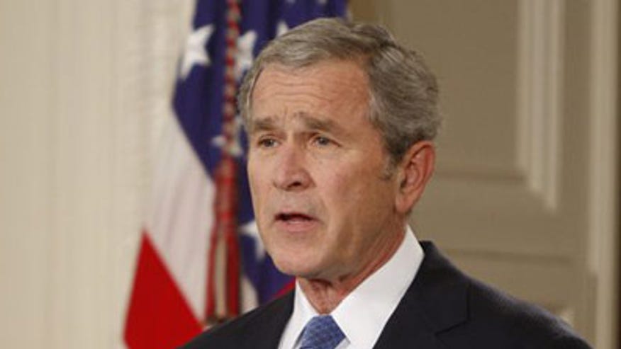 Bush_397ap.jpg