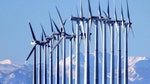 More than , birds are killed by the country's wind farms each year, including , hunting birds such as hawks, falcons and eagles, according to an estimate published in March in the peer-reviewed Wildlife Society Bulletin.